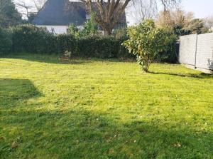 Appartements Ile Cigogne : photos des chambres