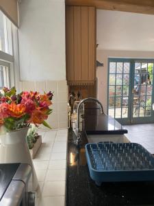 Alnwick Holiday House - Charming, Historic, Central Alnwick with Courtyard