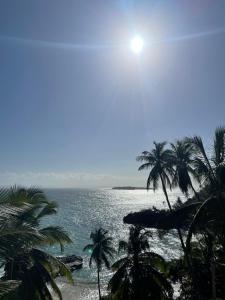 Spectacular Ocean View Top Floor 1-Bedroom Condo, Vista Mare, Samana DR