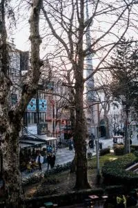 MY Smart - 埃利特温泉