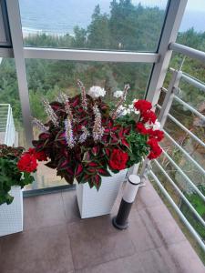 Apartament z widokiem na morze