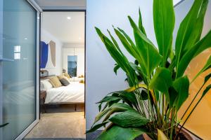 Apartamentos Realejo - diseño, confort y encanto en el centro histórico de Granada