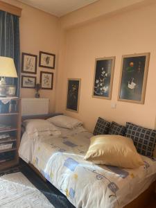 Πηνελόπη Apartment 3-bed flat