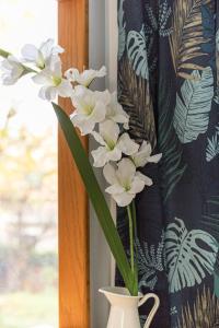Appartements 50m2 Cosy Parking Balcon : photos des chambres