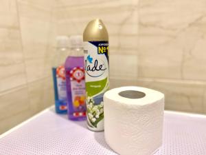 1-кімн Світла квартира у Скандинавському стилі, Центр міста