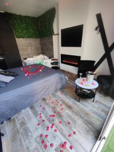 Appartements Loft and Studio and Love Room : Suite avec Jacuzzi - Non remboursable