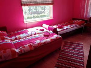 Brīvdienu māja"Jauneglites"