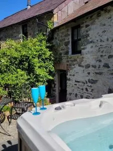Snuggle hot tub Dolgoy - Llandyssiliogogo