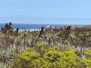 Descanso y Aire Fresco en Los Molles