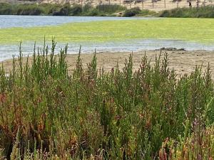 Descanso y Aire Fresco en Los Molles