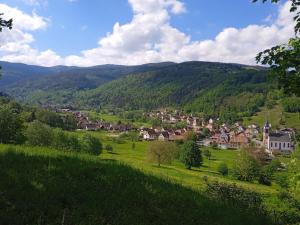 Maisons de vacances Le gite des Kritter : photos des chambres