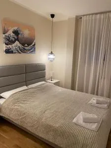 Don John Apartman - Vračar (historical)