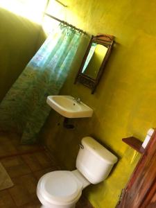 GreenPoint Drake Bay