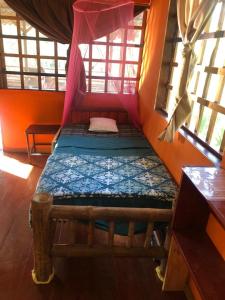 GreenPoint Drake Bay