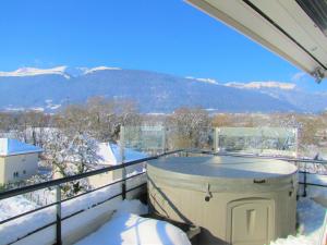 Appartements Luxury Duplex Spa -Geneva Getaway : photos des chambres