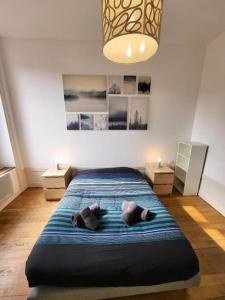 Appartements Cosy, calme, proche Centre Ville : photos des chambres