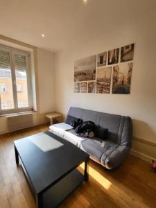 Appartements Cosy, calme, proche Centre Ville : photos des chambres