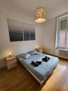 Appartements Cosy, calme, proche Centre Ville : photos des chambres