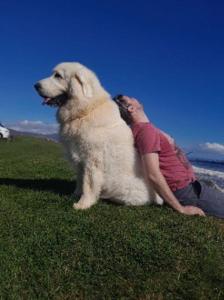 Dunes View, Cottage1, Dunnetbay accommodation
