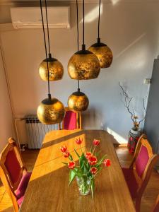 Apartmani Mia