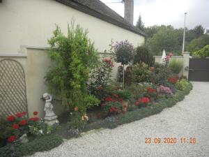 B&B / Chambres d'hotes La Merlette89 : photos des chambres