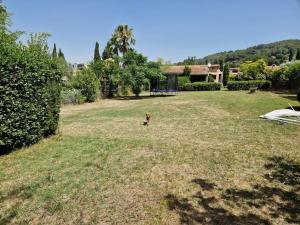 Villas Charmante villa provencale avec piscine & jardin : photos des chambres