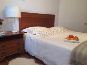 Casa-solarium en la naturaleza