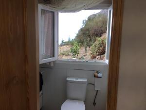 Casa-solarium en la naturaleza