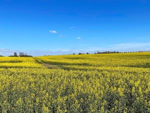 5 person holiday home in Löderup-By Traum