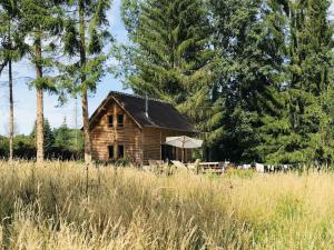 La cabane de l étang