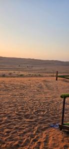 Bedouin nights Camp