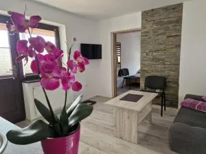 Apartamenty u Krystyny - Pyzówka