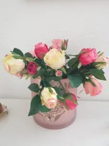 Ferienwohnung" Julia"in Norden - Lintelermarsch