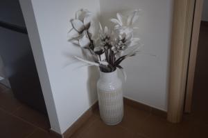 Gus on the beach img10