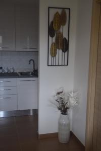 Gus on the beach img11