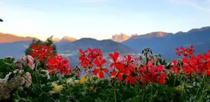 Stieberhof - Lazfons