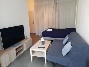 Appartements Grand T1 au calme - Dijon centre : photos des chambres