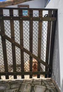 Apartamento Ambar