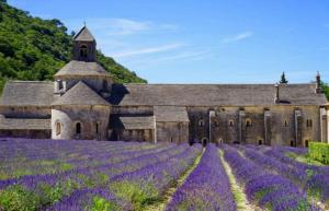 Appartements Pied a terre familial au pied du Luberon : photos des chambres