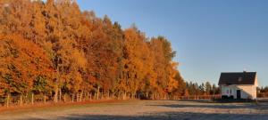 DoWielina - domki wśród natury