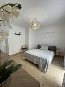 Appartements Charmant T2, parking prive : photos des chambres