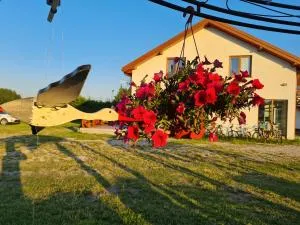 Kajaki i Rowery - Iznota