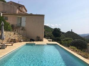 Appartements Experience the Provencal dream : photos des chambres