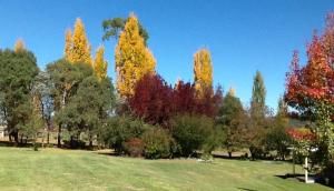 Glen Waverly Farmstay