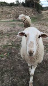 Beautiful spot for remote work (and romance!)