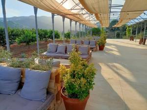 Romantic Stay in Grand Setting