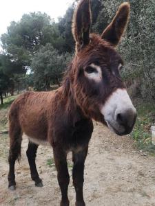 Romantic Stay in Grand Setting