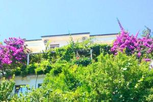 Madra Rooms and Apartments