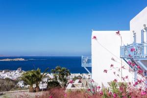 Vencia Boutique Hotel Myconos Greece