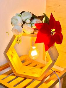 Cosy and Lovely flat with view on Nature